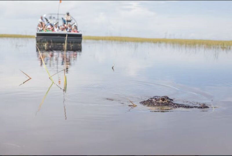 everglades-sawgrass-park-airboat-adventure-package