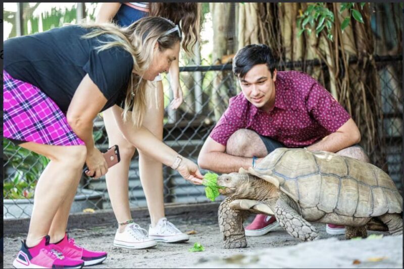 Everglades: Sawgrass Park Reptile Exhibit Private Tour - What to Expect from the Reptile Tour