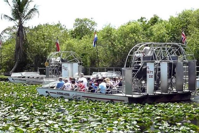 everglades-tour-in-miami
