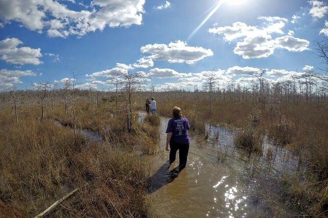 Everglades Tour w/ Biologist Led WET walk + 2 Boat Trips + Lunch! - The Setting: From Fort Lauderdale to Florida’s Wilderness