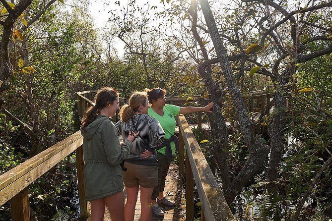 Everglades Tour w/ Biologist Led WET walk + 2 Boat Trips + Lunch! - Practical Aspects & Considerations