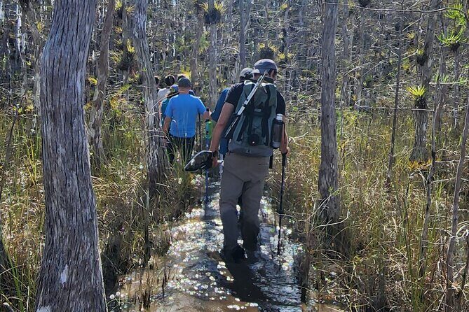 Everglades Tour w/ Biologist Led WET walk + 2 Boat Trips + Lunch! - Final Thoughts: Who Would Love This Tour?