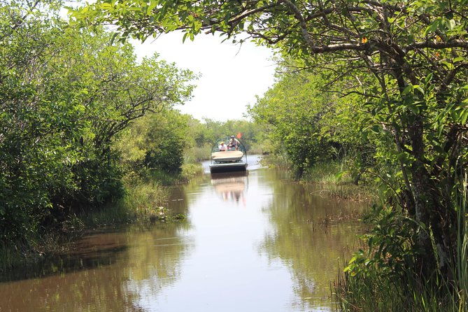 everglades-tour-with-professional-tourguide-inclusive-pickup