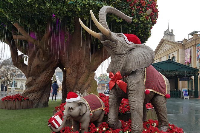 Everland Private Shuttle "Total Private Tour: More Members Less Cost" - FAQs