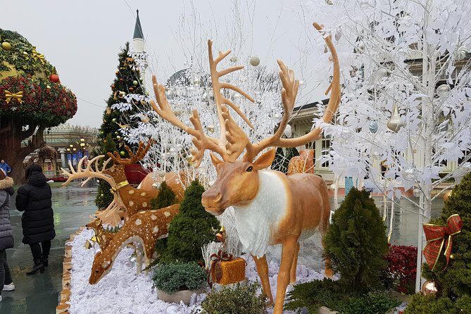 Everland Private Shuttle "Total Private Tour: More Members Less Cost" - Final Thoughts