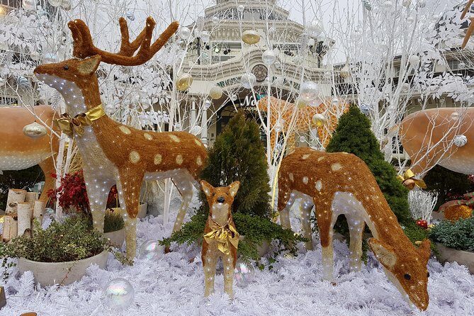 Everland Private Shuttle "Total Private Tour: More Members Less Cost" - Additional Recommendations