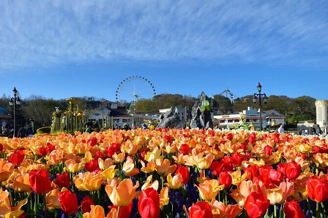 Everland Theme Park Entry Ticket - Who Should Visit Everland?