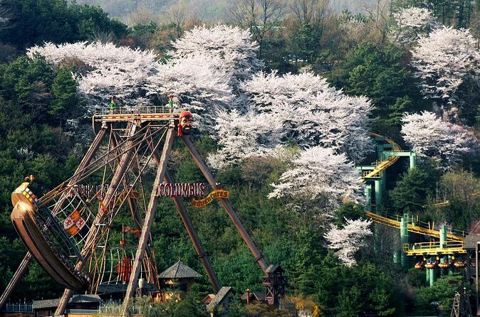 Everland Theme Park Entry Ticket - The Sum Up