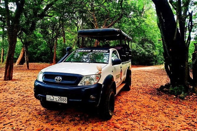 Everything in Udawalawe (Safari, Accommodation with Half Board) - FAQ