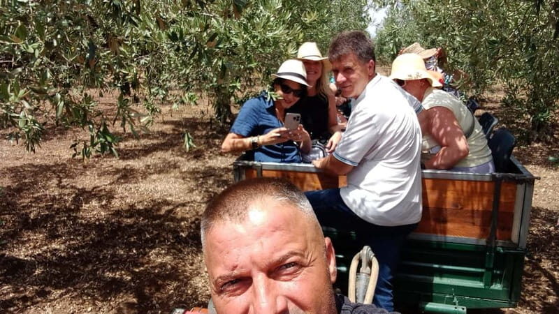 EVO Oil Tasting in Castelvetrano - Key Points