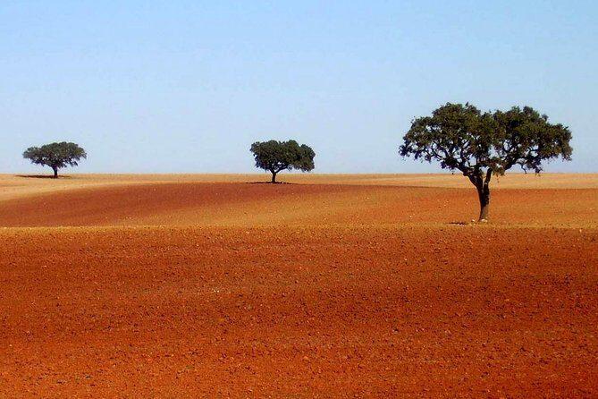 Évora & Alentejo: A Journey Through History and Flavors - Real Traveler Perspectives