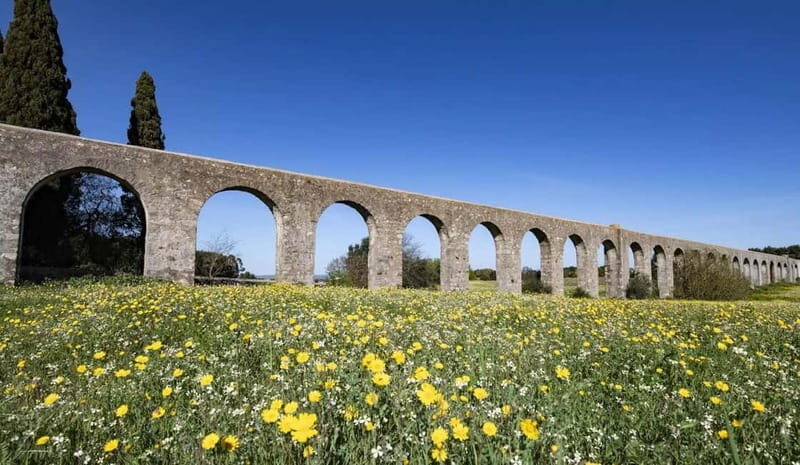 Evora Ancient City & The Alentejo Private Luxury Wine Tour - Practical Tips & Considerations