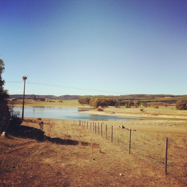 evora-and-megaliths-full-day-tour-from-lisbon