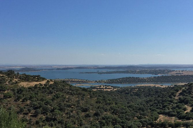 evora-and-monsaraz-private-tours-from-lisbon