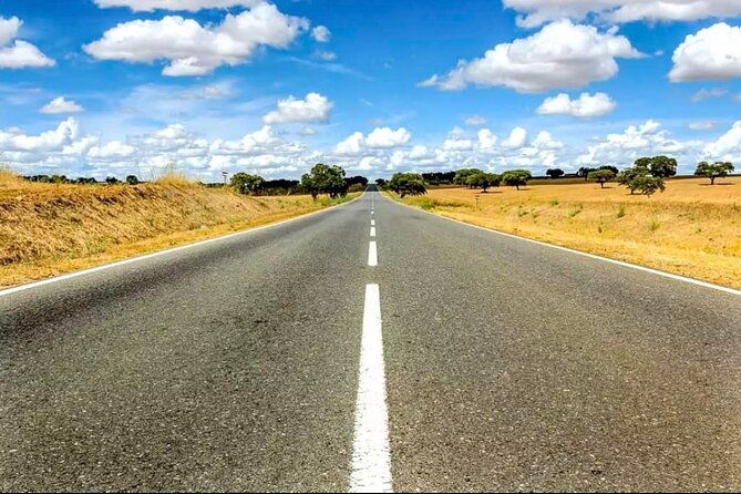 evora-monsaraz-full-day-private-tour-with-winery-cork-gourmet-tavern