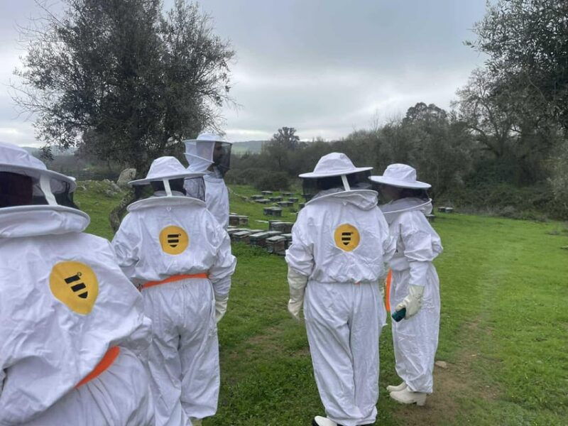 evora-or-montemor-beekeeping-chocolate-factory-wine-tasting