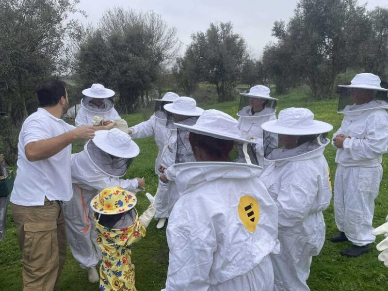 evora-or-montemor-beekeeping-chocolate-factory-wine-tasting
