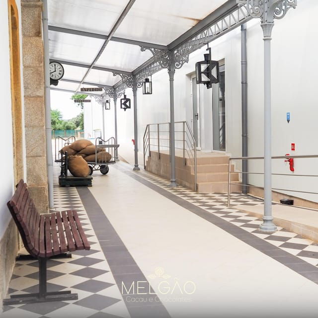 evora-or-montemor-beekeeping-chocolate-factory-wine-tasting