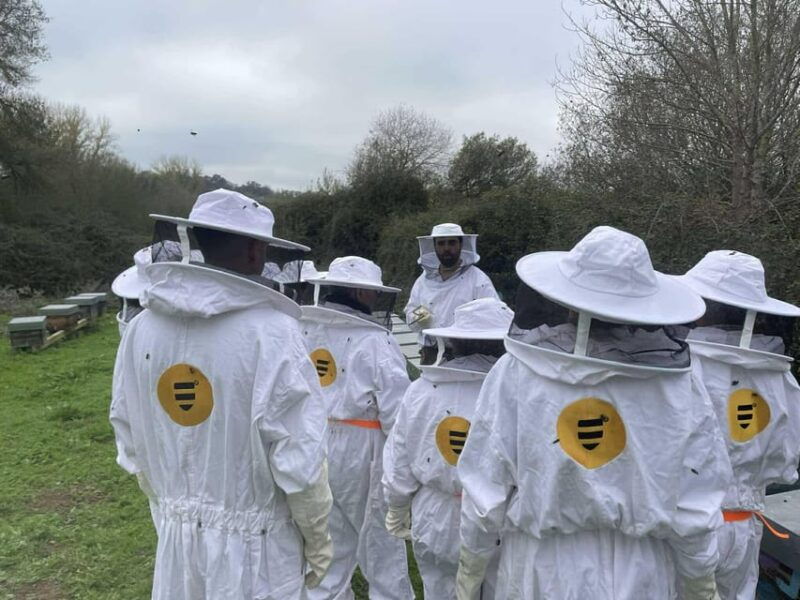 evora-or-montemor-beekeeping-chocolate-factory-wine-tasting