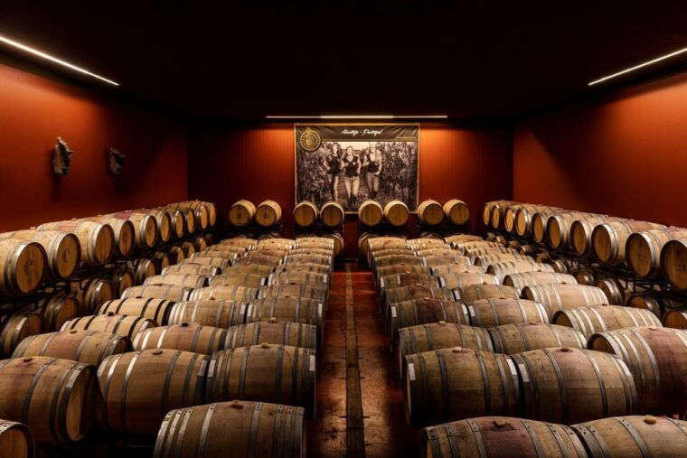 evora-or-montemor-beekeeping-chocolate-factory-wine-tasting