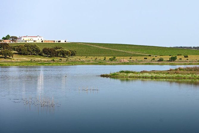 evora-private-full-day-tour-from-lisbon-2