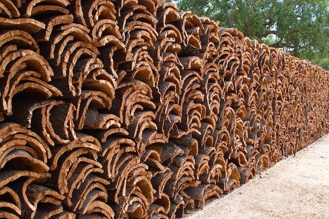 evora-surroundings-cork-factory-visit-included-private-tour