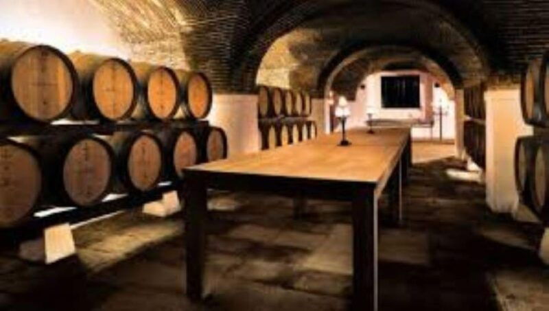 evora-wine-tasting-and-culture-tour