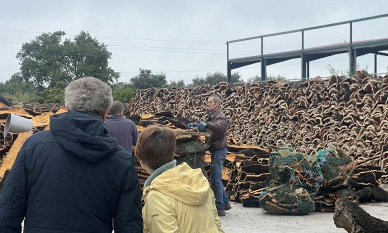 evora-winery-cork-factory-full-day-private-transport