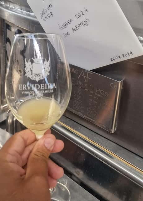 Évora & Wines: A Taste of Authentic Alentejo - Authentic Experiences & Insider Tips