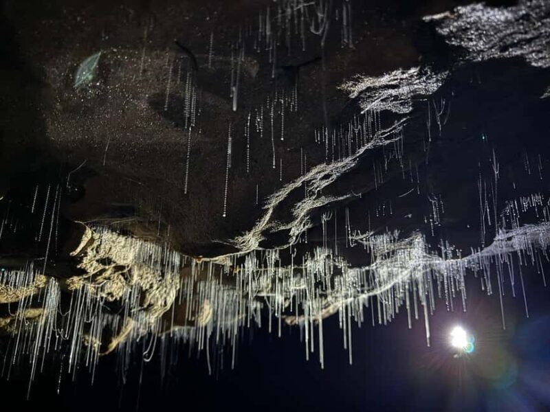 Ex Auckland Spellbound Glowworm & Cave Explorer Private Tour - Key Points