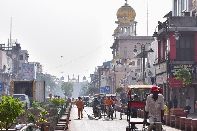 Ex-Delhi: Highlights of Delhi - Private Guided Tour by Car - Practical Tips for Making the Most of This Tour