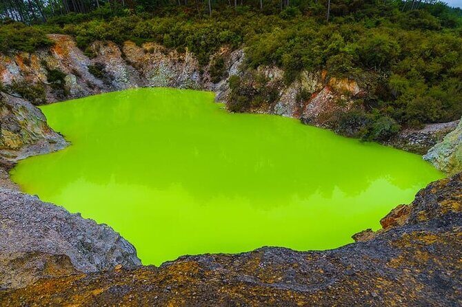 Ex Hamilton: TRIPLE DEAL Wai O Tapu, Redwood Forest & Blue Spring - Introduction: Why This Tour Might Be the One for You
