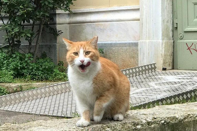 exarcheia-walking-tour-the-other-side-of-athens