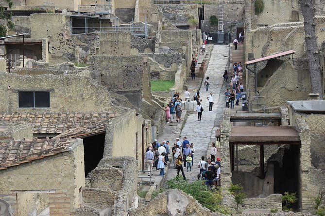 excavations-of-herculaneum-tour-guide-and-skip-the-line-ticket