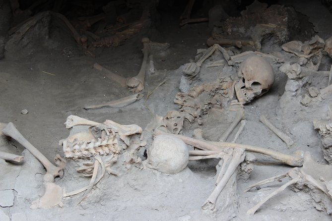 excavations-of-herculaneum-tour-guide-and-skip-the-line-ticket