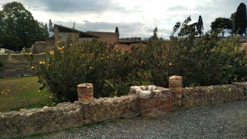 excellent-herculaneum-guided-tour-with-a-licensed-guide