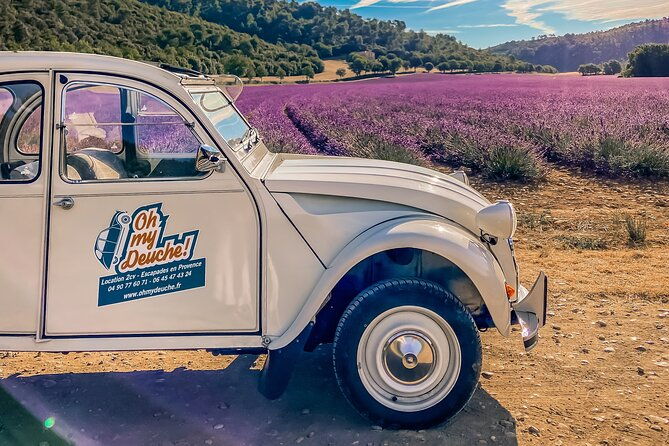 exceptional-2hp-excursion-in-the-luberon-8h