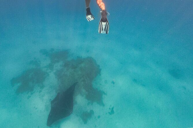 Exceptional Half Day on the Bora Bora Lagoon in Combo - Introduction: Exploring Bora Bora’s Lagoon in Style