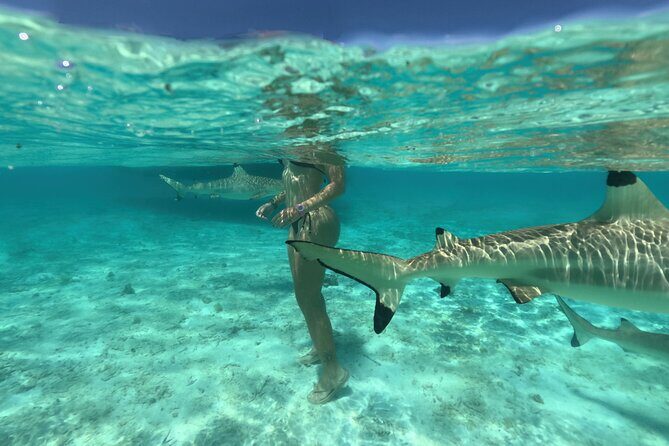 Exceptional Half day on the turquoise lagoon of Bora Bora - Who Is This Tour Best For?