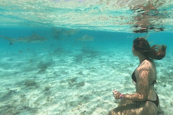 Exceptional Half day on the turquoise lagoon of Bora Bora - Final Thoughts: Is It Worth It?