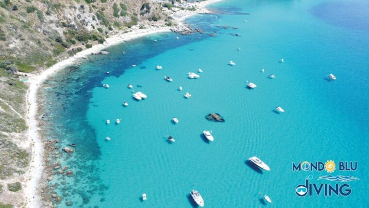exciting-coastal-tour-with-drinks-included