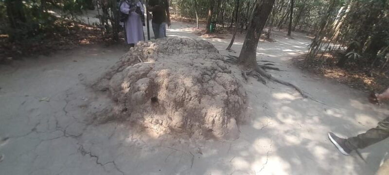 exciting-cu-chi-tunnels-and-mekong-delta-tour