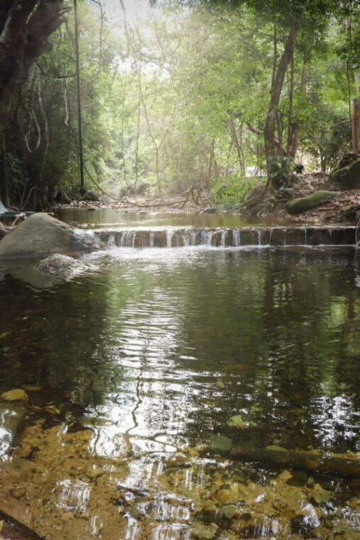 exciting-zip-lines-in-ecopark-and-tequila-puerto-vallarta