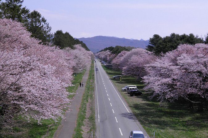 Exclusive 2-Day Tour to Hokkaidos Two Cultural Heritage Areas - The Value and Practicalities