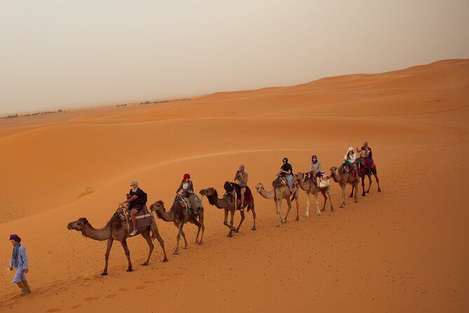 Exclusive! 2 Days Desert Trip Marrakech to Fez via Ait Benhaddou - Key Points
