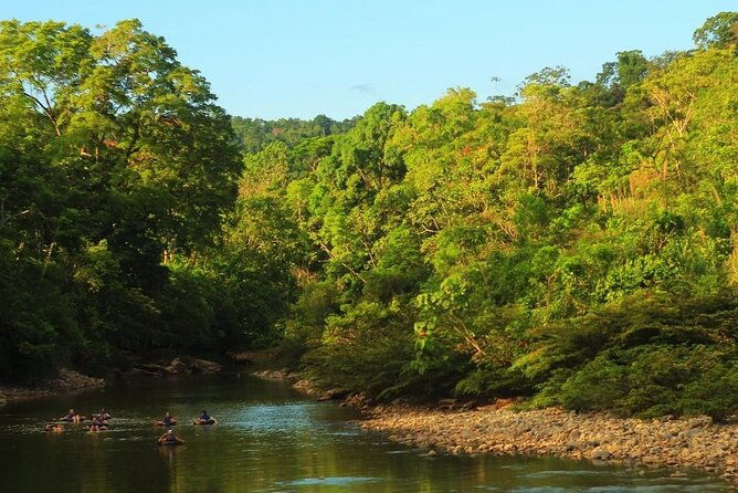 exclusive-3-day-all-inclusive-amazon-adventure-in-napo-province