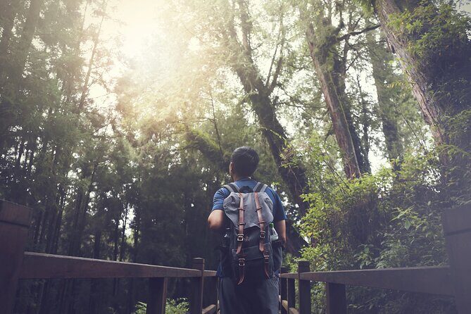 Exclusive 3-Day Sun Moon Lake & Alishan Private Tour - Transportation, Accommodation, and Practical Details