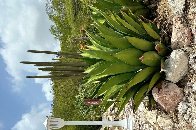 exclusive-4-hour-private-nature-tour-west-curacaos-best