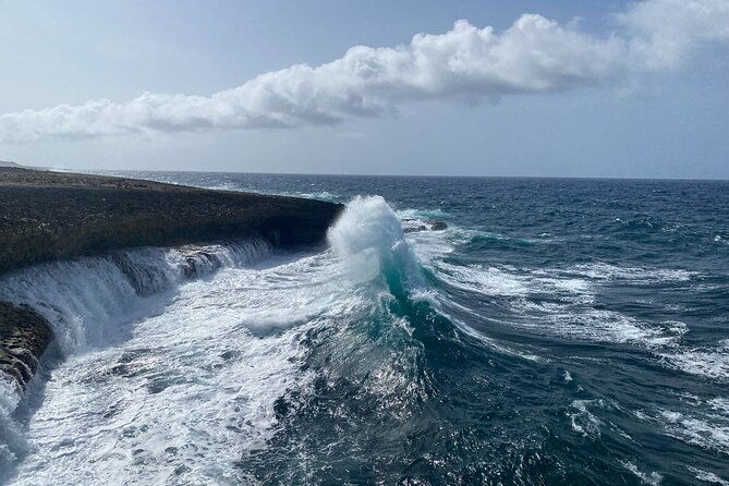 exclusive-4-hour-private-nature-tour-west-curacaos-best