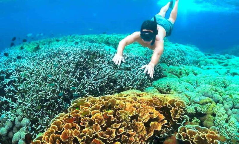 exclusive-4-secret-gilis-petagan-bidara-kapal-and-kondo